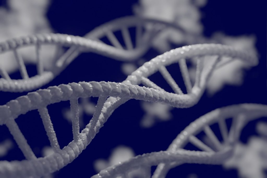 dna, free wallpaper, 3d-5297378.jpg